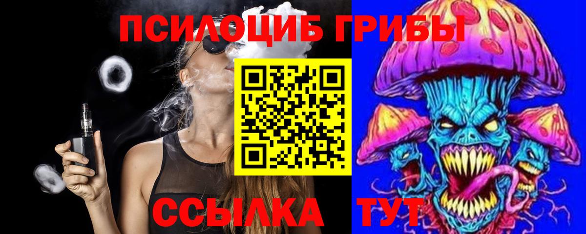 Городец  Галлюциногенные грибы Psilocybine cubensis  Вход с VPN 